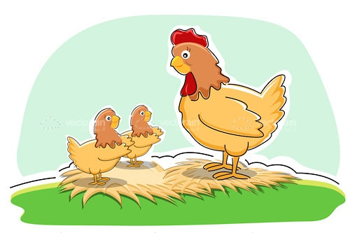 Hand Drawn Chicken with her Chicks